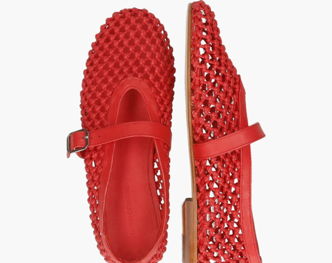 Alivia rot