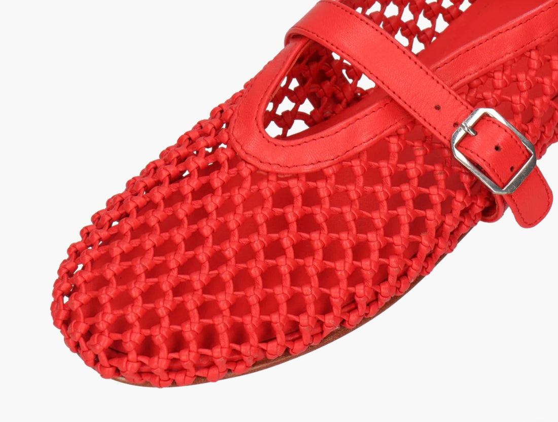 Alivia rot